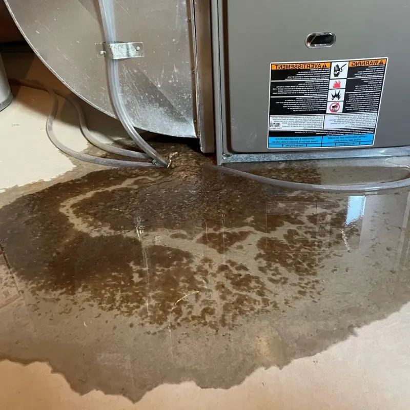 Pipe Burst and Leak Restoration in Palmerton, PA
