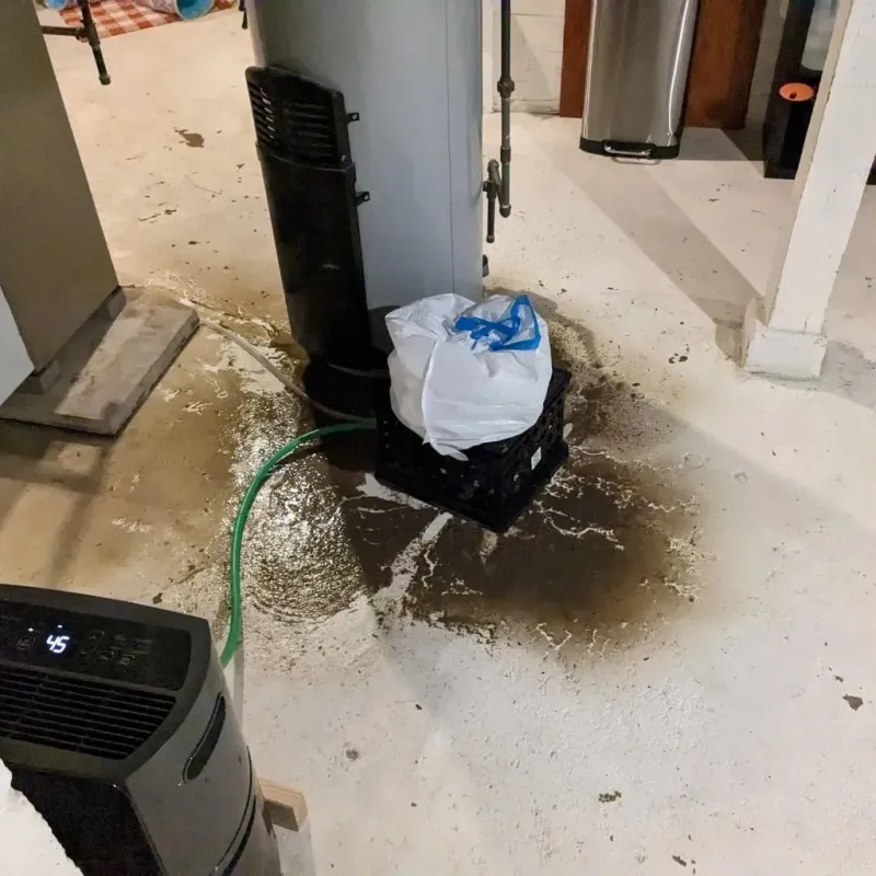 Sewage Backup Cleanup Service in Palmerton, PA
